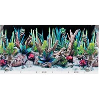 SeaView Double-Sided Desert Dream & Deep Flora Terrarium Background, 36" L X 18" H, Medium