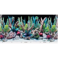 SeaView Double-Sided Desert Dream & Deep Flora Terrarium Background, 36" L X 18" H, Medium