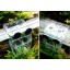 Senzeal Large Plastic Fish Isolation Box Multi- functional Breeding Hatchery Incubator Box with 3pcs Pasteur Pipette