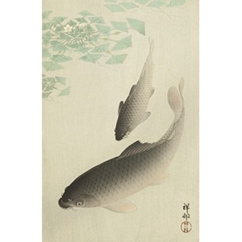 Japanese Art Print "Carp (Koi)" by Ohara Koson