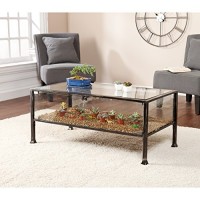 Southern Enterprises Terrarium Display Cocktail Coffee Table, Black with Silver Distressed Finish