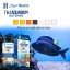 Stript Health 7-Way Aquarium Test Strips 100 Count - Easily Test Your Salt/Fresh Water Tank - Spend More Time Enjoying Your Fish - One Simple Strip...