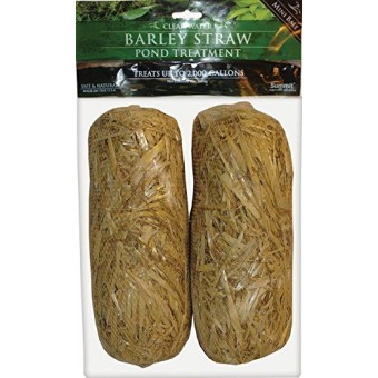 Summit 130 Clear-water Barley Straw Bales, 2-Pack