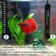 Betta Heater for Small (1.5 gal.) Tanks - Fully Submersible Aquarium Heater - Automatically Reaches Preset Temperature - Energy-efficient Heating M...