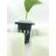 SUNYUM Hydroponics Seed Growing Media Cylindric Sponges 1.2x1.3 for 1.8" Net Cup Pots Basket Pack of 100 (1.8)