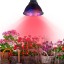TaoTronics 24w Led Grow light Bulb , Miracle Grow Plant Light for Hydropoics Organic Mini Greenhouse (3 Bands)