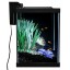 Tetra ColorFusion Aquarium 20 Gallon Fish Tank Kit, Includes LED Lighting and Decor