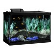 Tetra ColorFusion Aquarium 20 Gallon Fish Tank Kit, Includes LED Lighting and Decor