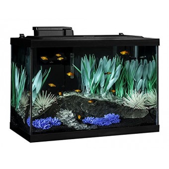 Tetra ColorFusion Aquarium 20 Gallon Fish Tank Kit, Includes LED Lighting and Decor