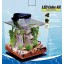 Tetra LED Cube Shaped 3 Gallon Aquarium with Pedestal Base