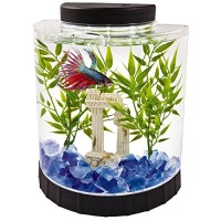 Tetra LED Half Moon Betta Aquarium, 4.6 x 9.1 x 9.9 Inches