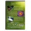 Relaxation DVD - Lotus Pond for Relaxing and Mediation and Mindfulness