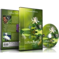 Relaxation DVD - Lotus Pond for Relaxing and Mediation and Mindfulness