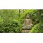 Zen Relaxation DVD - Japanese Gardens for Relaxing and Meditation