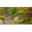 Zen Relaxation DVD - Japanese Gardens for Relaxing and Meditation