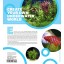 Sunken Gardens: A Step-by-Step Guide to Planting Freshwater Aquariums