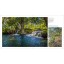 Sunken Gardens: A Step-by-Step Guide to Planting Freshwater Aquariums