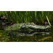 28" Alligator Head Decoy & Pond Float with Reflective Eyes For Canada Geese & Blue Heron Control