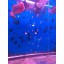 toyuto 17''x 18.8'' 75 Fish Tank Acrylic Divider Aquarium Isolation Board