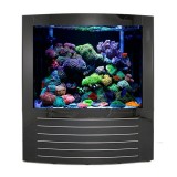 Triton Cynthia - 430 Gallon Aquarium - Black by Triton Aquariums