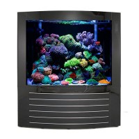 Triton Cynthia - 430 Gallon Aquarium - Black by Triton Aquariums