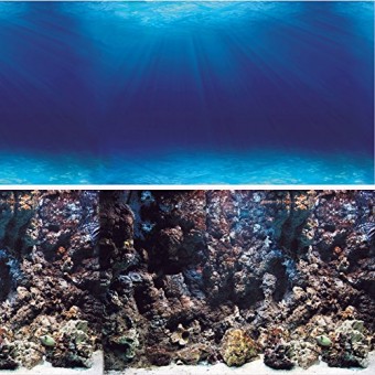 Vepotek Aquarium Background Deep Seabed/Coral Rock Double sides (Deep Seabed/Coral Rock, 48WX24H)