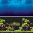 Vepotek Aquarium Background Double sides (Deep Sea/Water Plants) (24"W X 24"H)