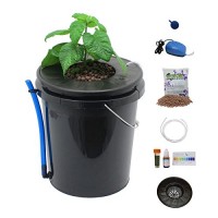 Viagrow Black Bucket Deep Water Culture Hydroponic System