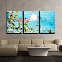 wall26 - 3 Piece Canvas Wall Art - Colorful Fish, Stingray and Black Tipped Sharks Underwater in Bora Bora Lagoon - Modern Home Decor Stretched and...