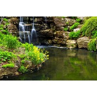 Wallmonkeys WM210719 Cascading Waterfall and Pond Peel and Stick Wall Decals (24 in W x 16 in H)