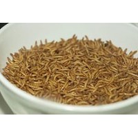 1000 Live Gutloaded Mealworms