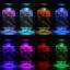 WHATOOK Submersible Led Light Waterproof Lights, Remote Controlled, Battery Powered, Underwater RGB Hot Tub Swimming Pool Pond Fountain Shower Bath...