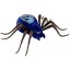 Wild Pets Spider - Chiller