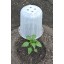 Greenhouse Buckets, 3 Pack
