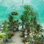 Z ZTDM 12'×7'×7' Outdoor Large Green House Walk in Greenhouses Tents Plants Gardening Backyard Protective Shed Nursery Grow (12'×7'×7')