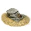 Zilla Reptile Habitat Décor Basking Platform Filter, Small, 10-20G