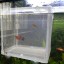 ZOSEN Aquarium Fish Breeder Box Isolation Box Breeder Hatchery Incubator (white)