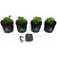 4 Site Hydroponic DWC Bucket System - Complete Grow Kit!