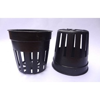 Aggreen Basket Cups for Hydroponics Gardens 2" inches 100 EA
