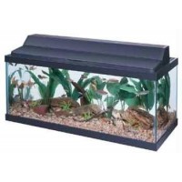 All Glass Aquarium AAG21230 Fluorescent Deluxe Hood, 30-Inch