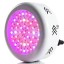 Amyove 150W 50 LED Plant Grow Light Full Spectrum Creative Supplement Lamp for Indoor Hydroponic Plant Vegetable Cultivation Horticulture Industria...