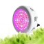 Amyove 150W 50 LED Plant Grow Light Full Spectrum Creative Supplement Lamp for Indoor Hydroponic Plant Vegetable Cultivation Horticulture Industria...