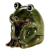 aquanique Ceramic Frog Spitter aquanique Ceramic Frog Spitter