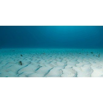 SPORN Aquarium Background, Static Cling, Ocean Floor 36" x 18"