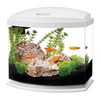 Aqueon LED MiniBow Aquarium Starter Kits with LED Lighting, 5 Gallon, White
