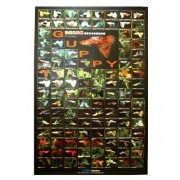 Azoo Aquarium Decor Guppy Poster Azoo Aquarium Decor Guppy Poster