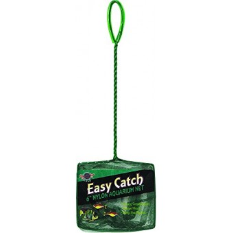 Blue Ribbon Pet Products ABLEC6C Easy Catch Fish Net for Aquarium, 6-Inch, Coarse Green