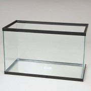 Aquarium Tank, Glass, 10 Gal