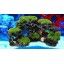 CocoStore Aquarium Mountain Coral Reef Rock Cave Stone Moss Fish Tank Ornament Decoration