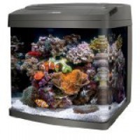 Coralife Biocube, Size 29